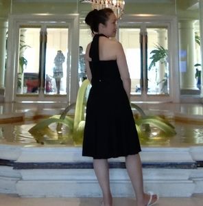 Meet your Posher, Sirin